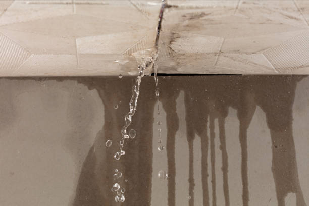 Professional Water Damage Inspection technician working in Forest Hills, TN